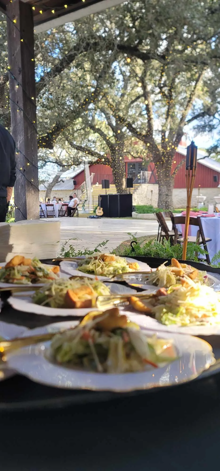 Chef lupita catering para quinceaneras austin tx