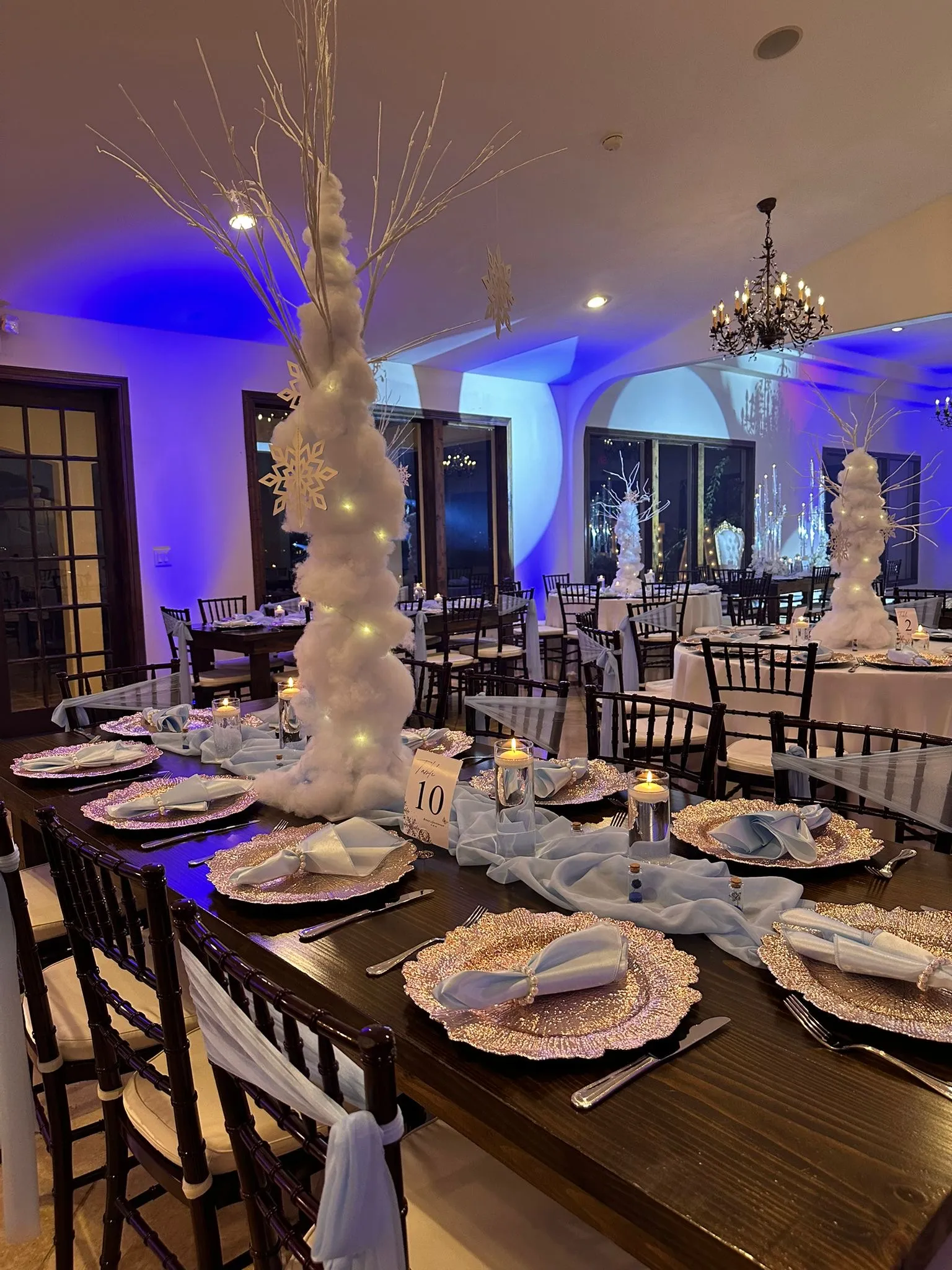 Adam's Event Planning Quinceanera